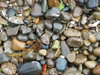 Stones