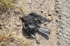 Road kill