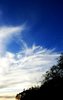 Evening Sky