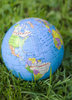 Globe in grass
