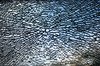 smashed glass
