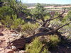 Colorado National Monument