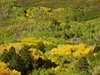 Western Colorado