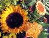 flower potpourri 2
