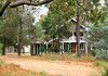 homes amongst the trees
