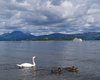 Loch lomond