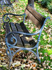 bench in autumn