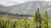Rocky Mountain Rainbow