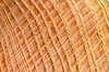 Wood texture