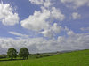 Green Shropshire