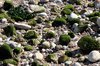 Rocks