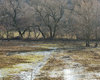 Thaw