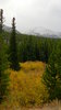 Rocky Mountian National Park