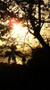 Los Baños Sunsets