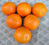 navel oranges