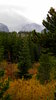 Rocky Mountian National Park