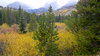 Rocky Mountian National Park