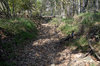 Dry Creek Bed