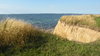 Shore of Omoe