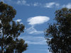 spring cloud formations