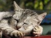 deep sleep