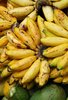 Bananas