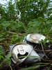 Non biodegradable