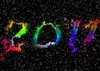 2011 New Year - 1
