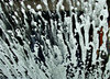 thru the carwash