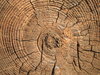 log