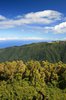Green mountains