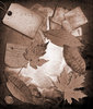Rocks Collage