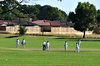 suburban cricket game