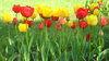 Spring's coming!