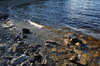 Sunlight on the shore