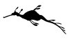 silhouette sea-dragon