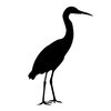 silhouette heron