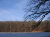 winter landscape