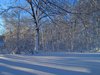 Winters Glory