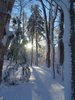 Snowy Sunburst Dawn