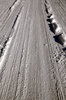 Snowy Road