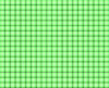 Gingham 3