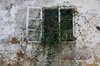 Old windows