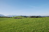 green hills