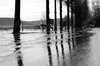 Flood