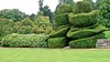 Garden topiary 3