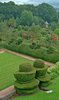 Garden topiary 1