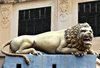 guardian lion