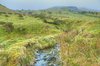 Mountain stream HDR