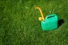 Petrol can in the grass